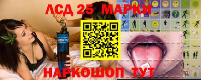 соль ск Новозыбков