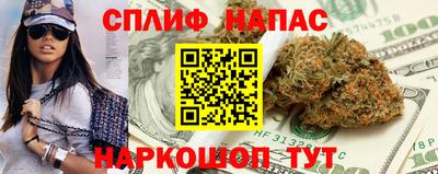 гашик Новокубанск