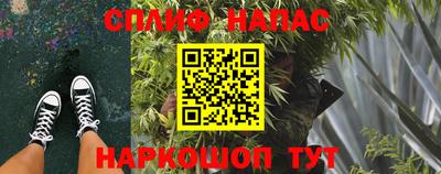 гашик Новокубанск