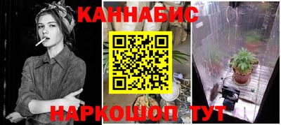 соль ск Новозыбков