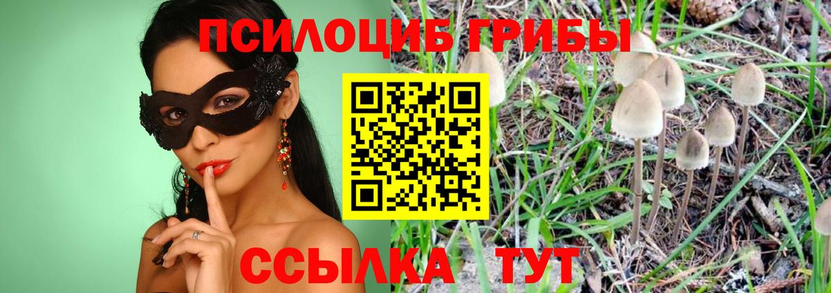 Галлюциногенные грибы GOLDEN TEACHER Сочи
